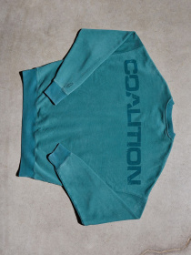 Худи и свитшоты DIVERSE Cltn Sk8 C модель 10049120 Фото