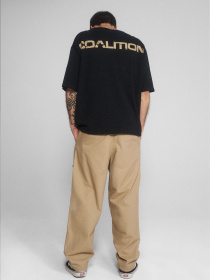 Брюки DIVERSE Cltn Van Sk8 модель 10049219 Фото