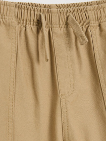 Брюки DIVERSE Cltn K Sk8 Van модель 10049223 Фото