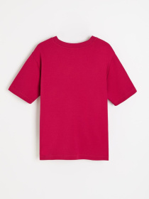 Футболки и поло DIVERSE Aunico 262 модель 10049229 Фото