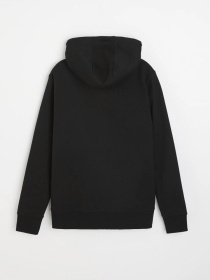 Худи и свитшоты DIVERSE Prm Zip 224 модель 10045654 Фото