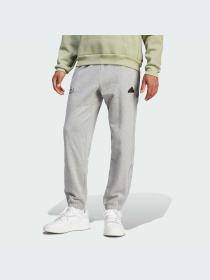 Брюки Adidas модель IW3538-KZ Фото