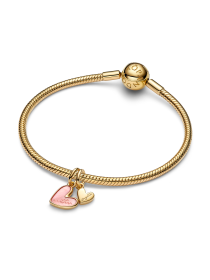 Шармы-подвески PANDORA модель 763766C01 Фото