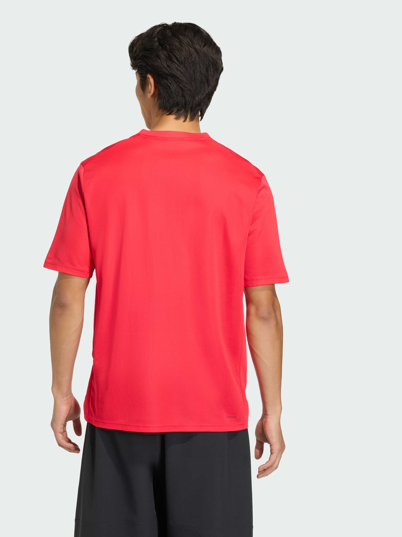 Футболки і поло Adidas Adidas Essentials модель KD5456 Фото