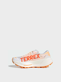 Кроссовки Adidas Terrex модель JR9113 Фото