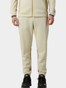 Брюки The North Face модель NF0A893SJW91 Фото
