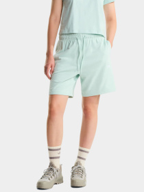 Шорты The North Face модель NF0A8GQYG701 Фото