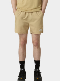 Шорты The North Face модель NF0A882DLK51 Фото