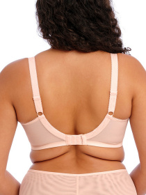 Нижнее белье ELOMI Namrah модель 301336 Фото