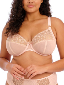 Нижнее белье ELOMI Namrah модель 301336 Фото