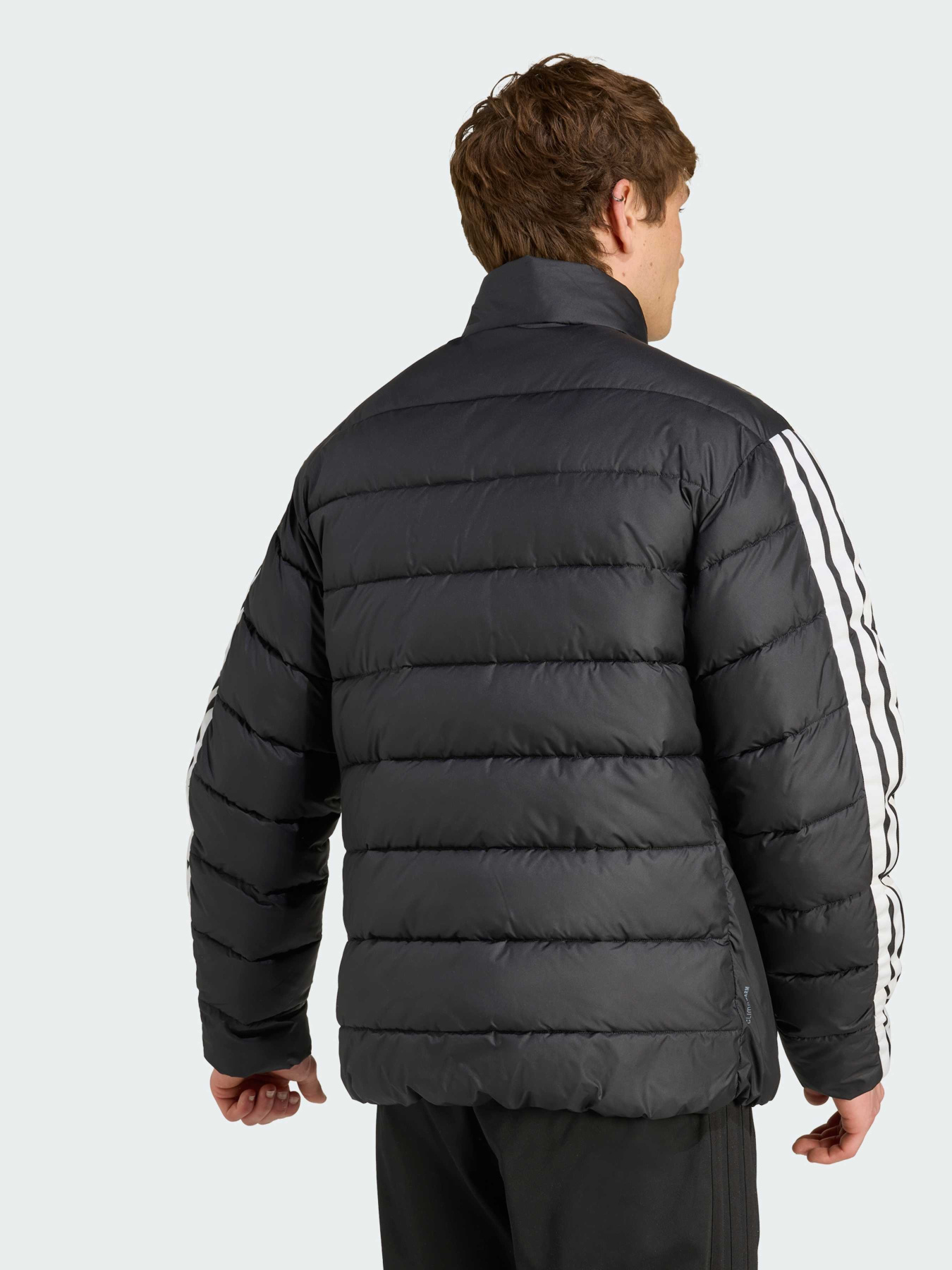 Куртки и дубленки Adidas Adidas Essentials модель JM8416 Фото