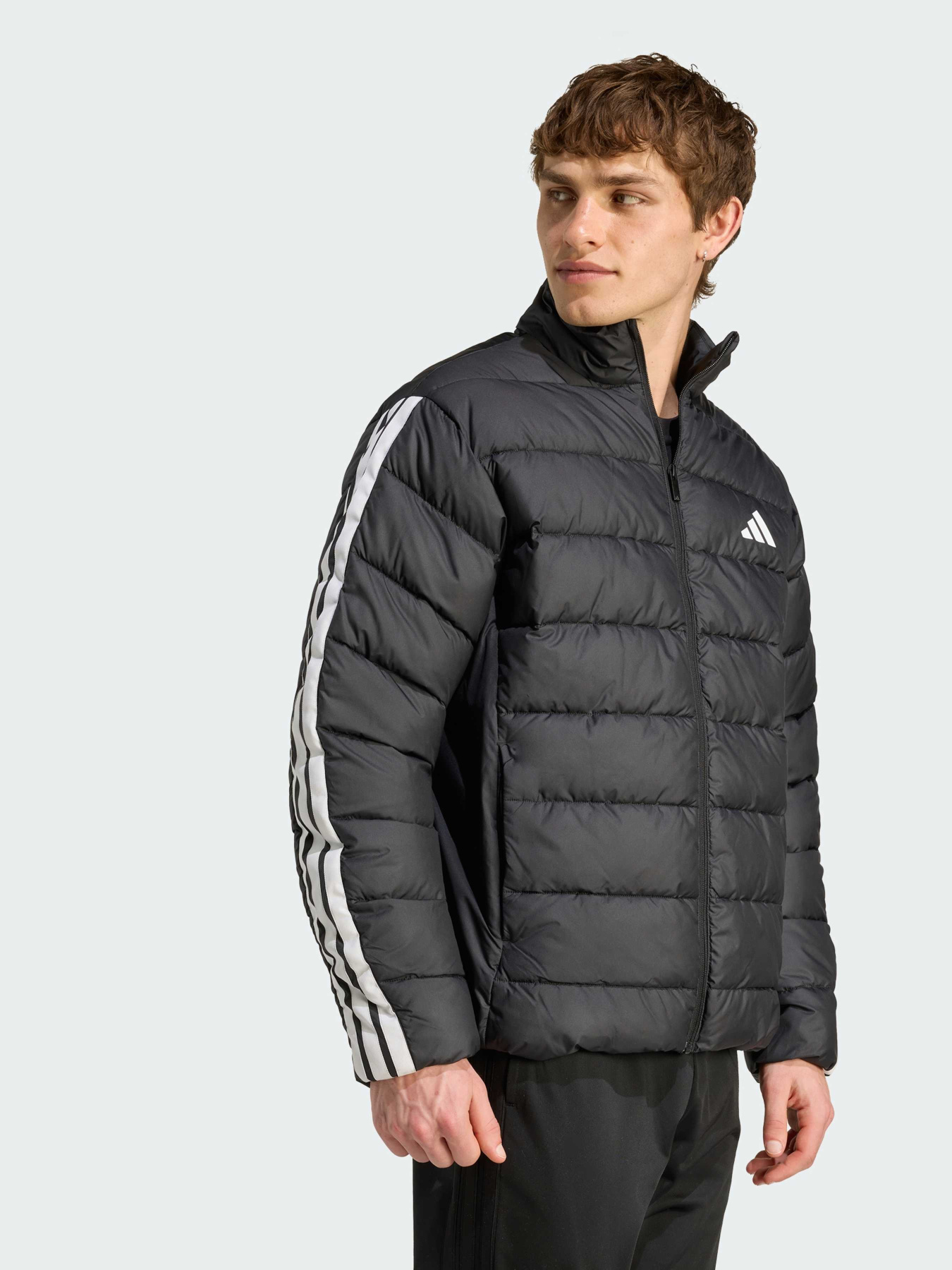 Куртки и дубленки Adidas Adidas Essentials модель JM8416 Фото