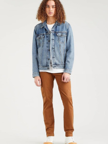 Куртки та дублянки Levi's модель 72334;0574 Фото