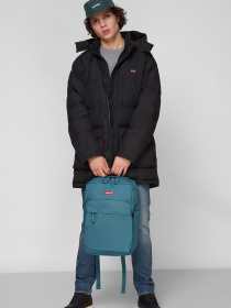 Куртки та дублянки Levi's модель A0950;0000 Фото