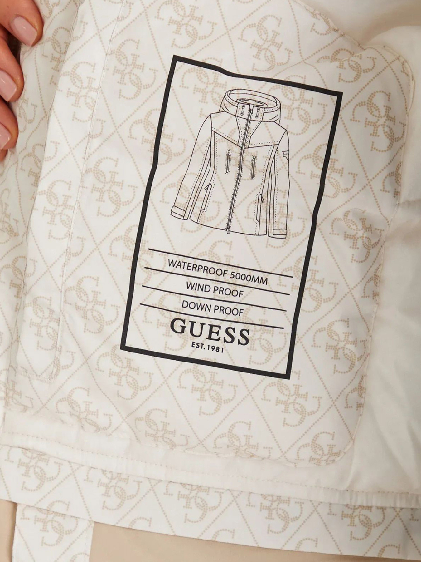 Куртки и дубленки GUESS модель W5BL77.W3272;P0OA Фото