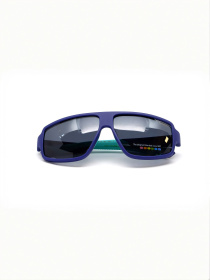 Очки Polaroid модель E0000487084 Фото