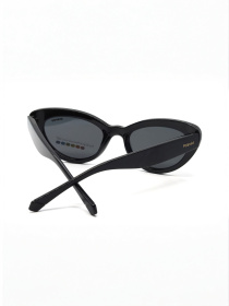 Очки Polaroid модель E0000543120 Фото