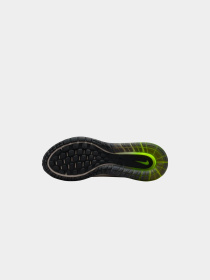 Кроссовки NIKE модель FZ5307-202 Фото