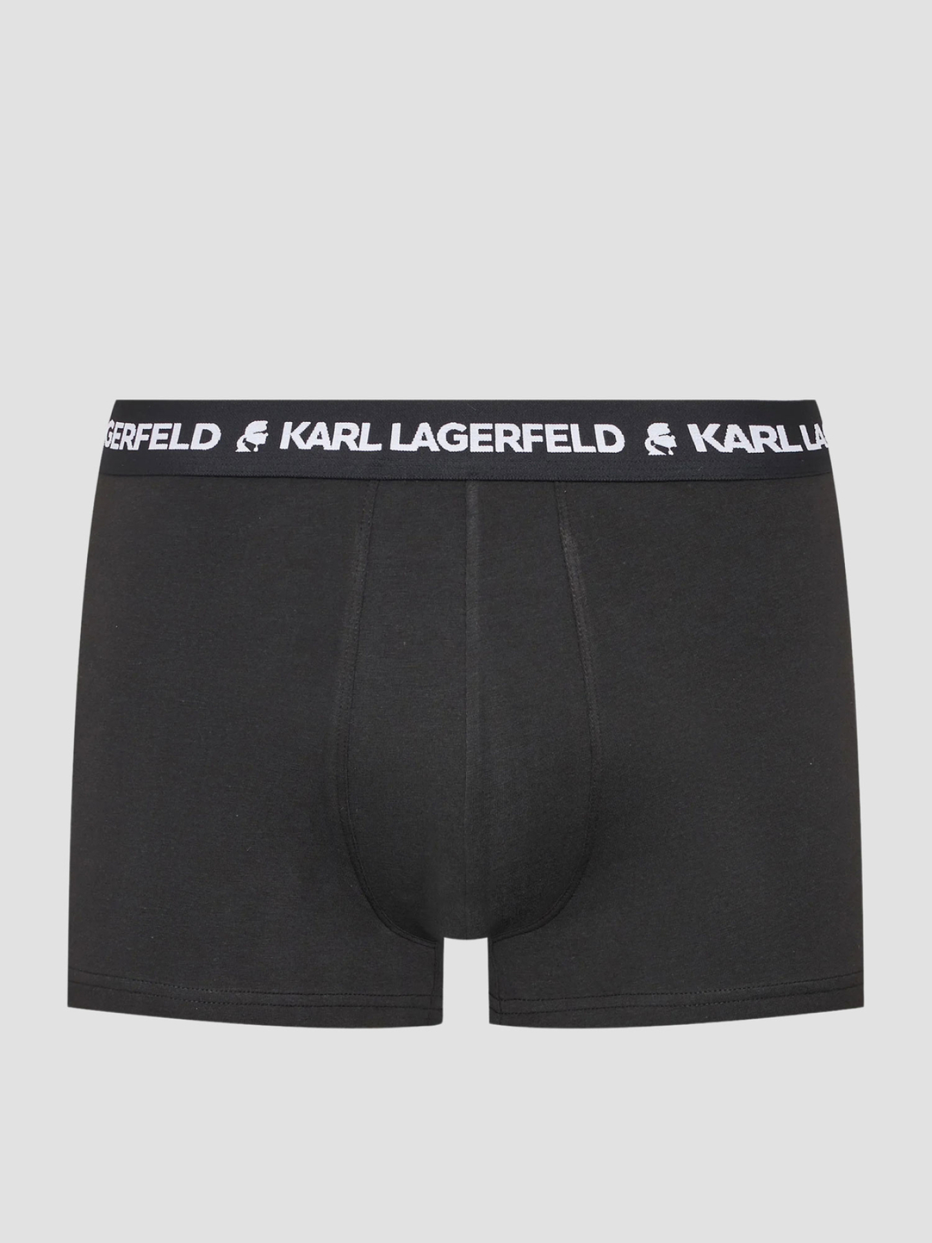 Нижнее белье Karl Lagerfeld модель 220M2125;999 Фото