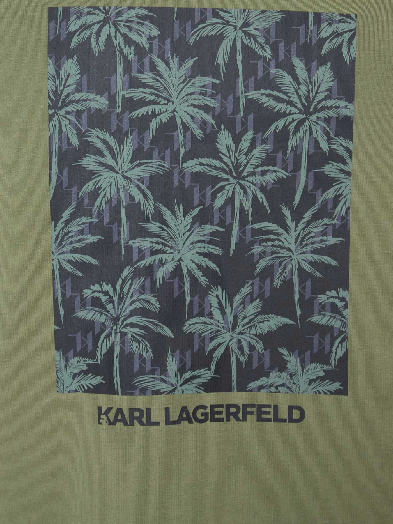 Футболки и поло Karl Lagerfeld модель 562221.755040;550 Фото