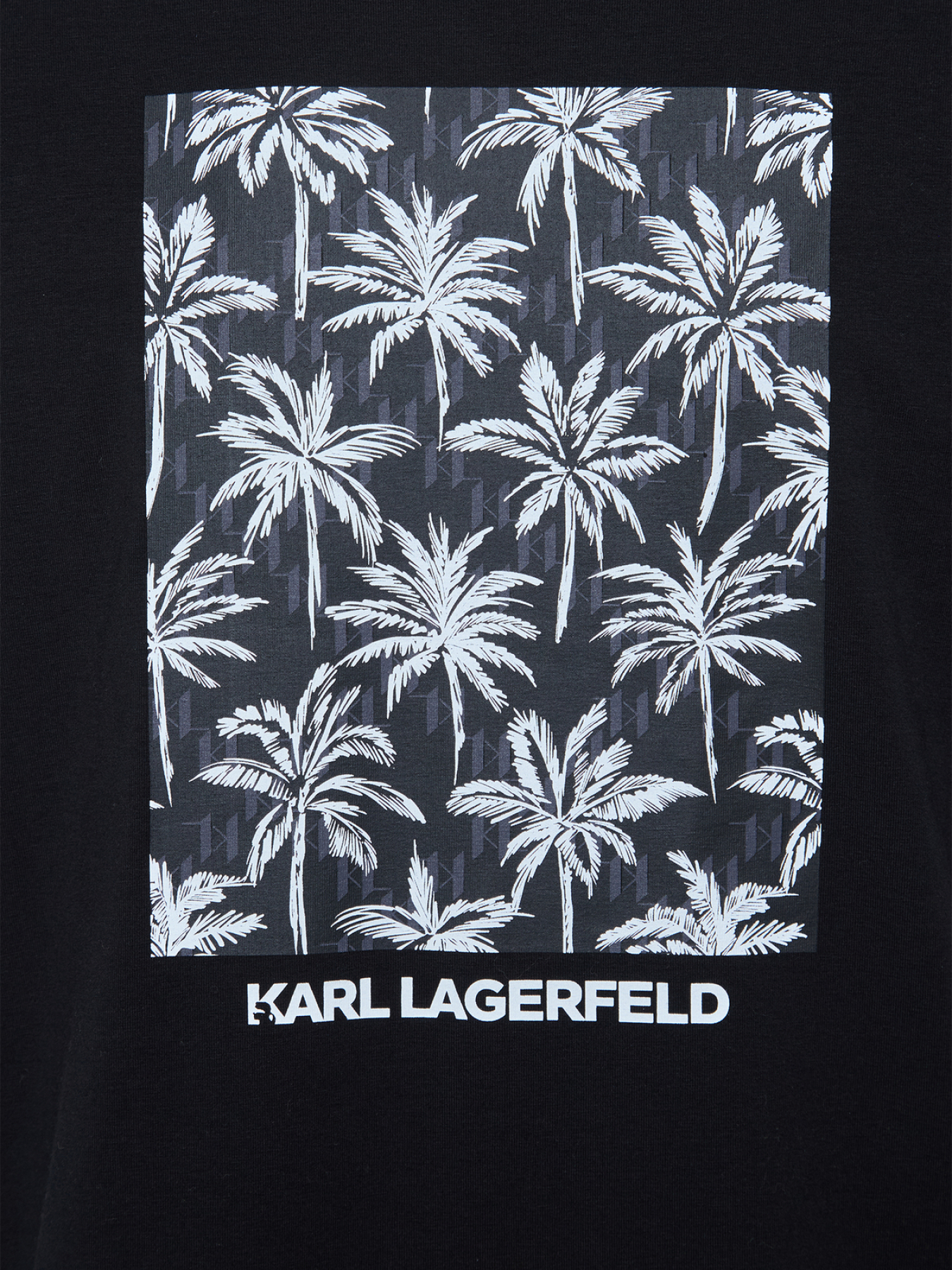 Футболки и поло Karl Lagerfeld модель 562221.755040;990 Фото