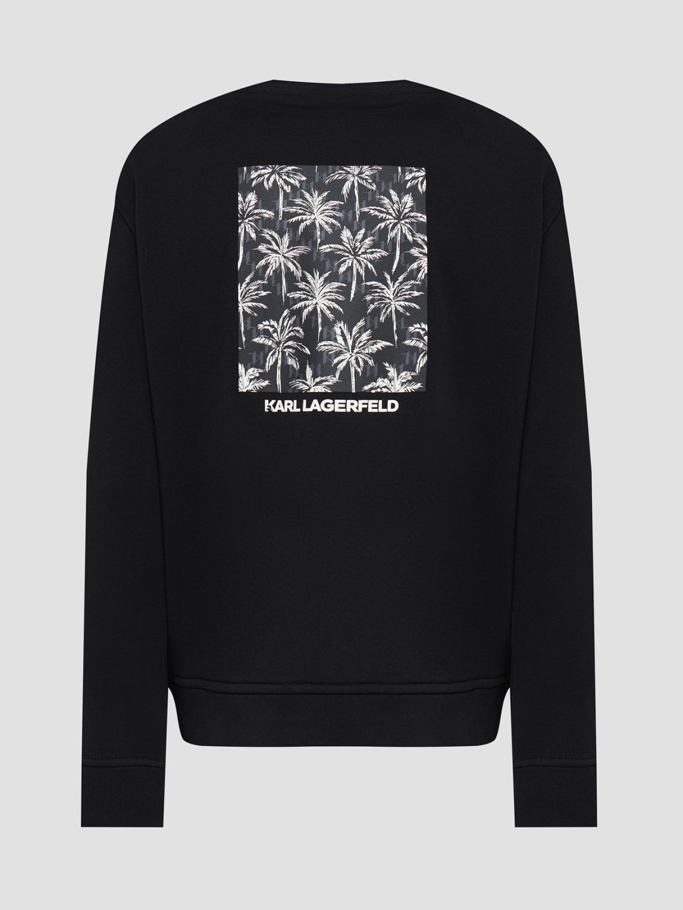 Худи и свитшоты Karl Lagerfeld модель 562900.705011;990 Фото
