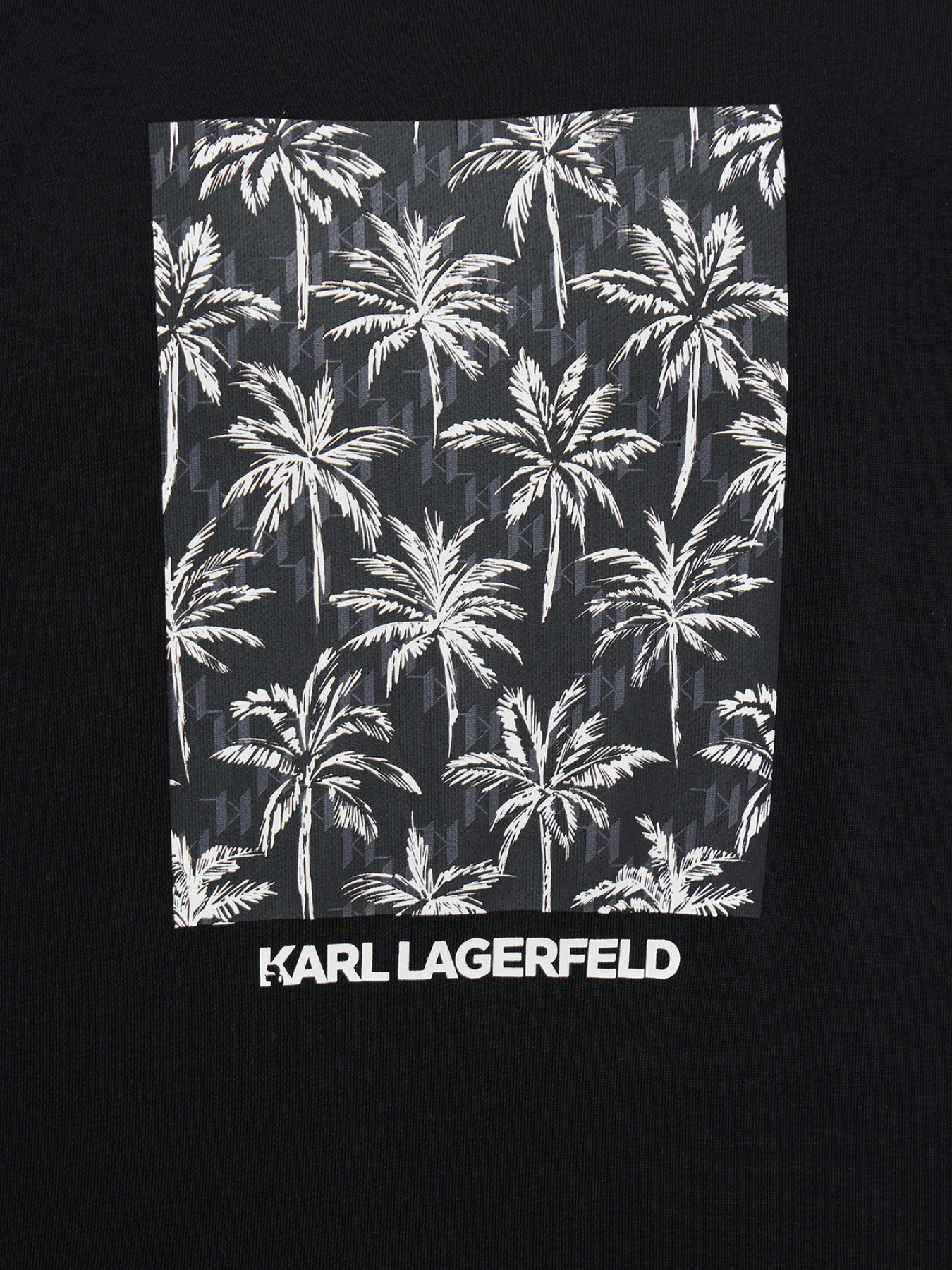 Худи и свитшоты Karl Lagerfeld модель 562900.705011;990 Фото