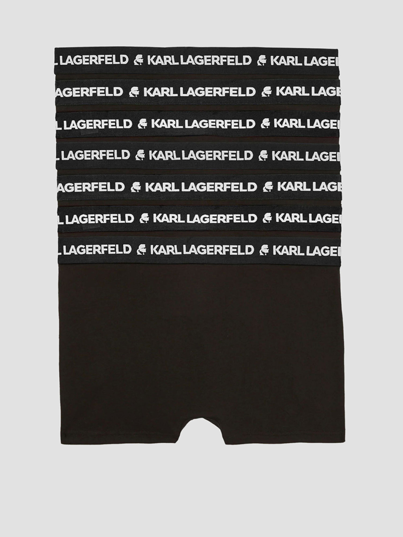 Нижнее белье Karl Lagerfeld модель A1M47010;999 Фото
