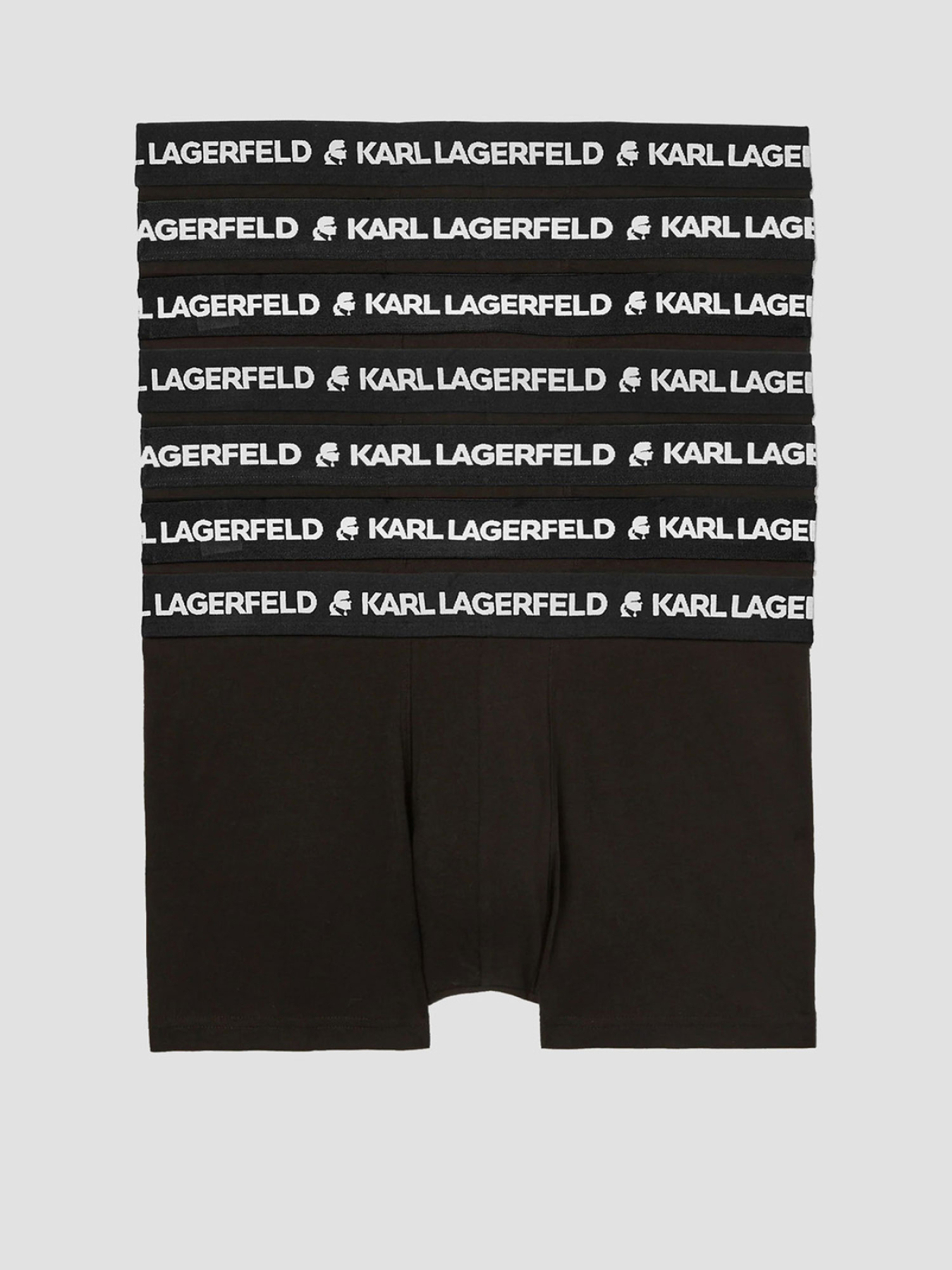 Нижнее белье Karl Lagerfeld модель A1M47010;999 Фото
