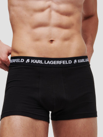 Нижнее белье Karl Lagerfeld модель A1M47086;1QI Фото