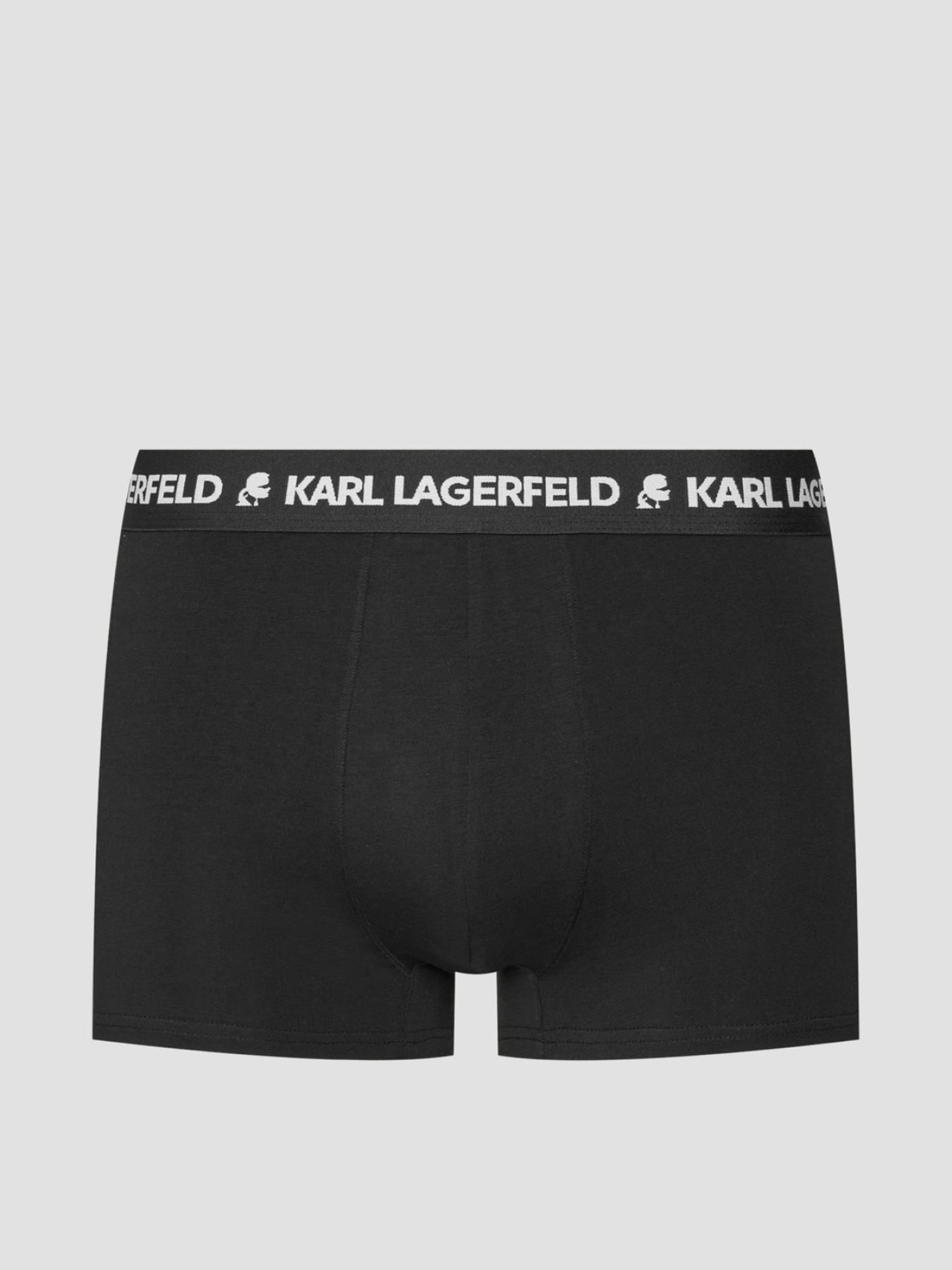 Нижнее белье Karl Lagerfeld модель A1M47151;900 Фото