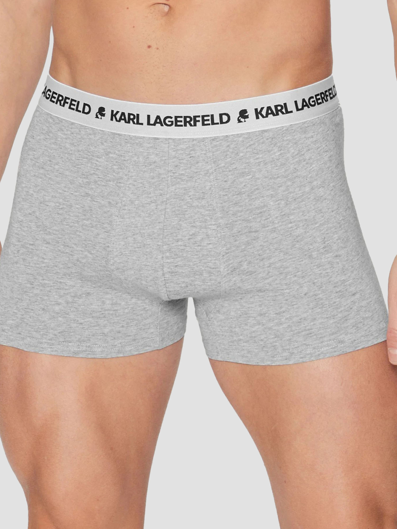 Нижнее белье Karl Lagerfeld модель A1M47151;900 Фото