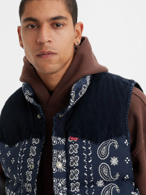 Куртки та дублянки Levi's модель A5634;0001 Фото