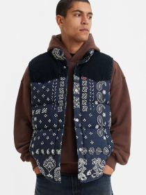 Куртки та дублянки Levi's модель A5634;0001 Фото