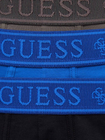 Нижня білизна GUESS модель U6GG23.K6YW1;FM9N Фото