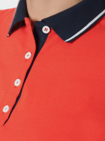 Поло Arber модель W14.06.05.210 Фото