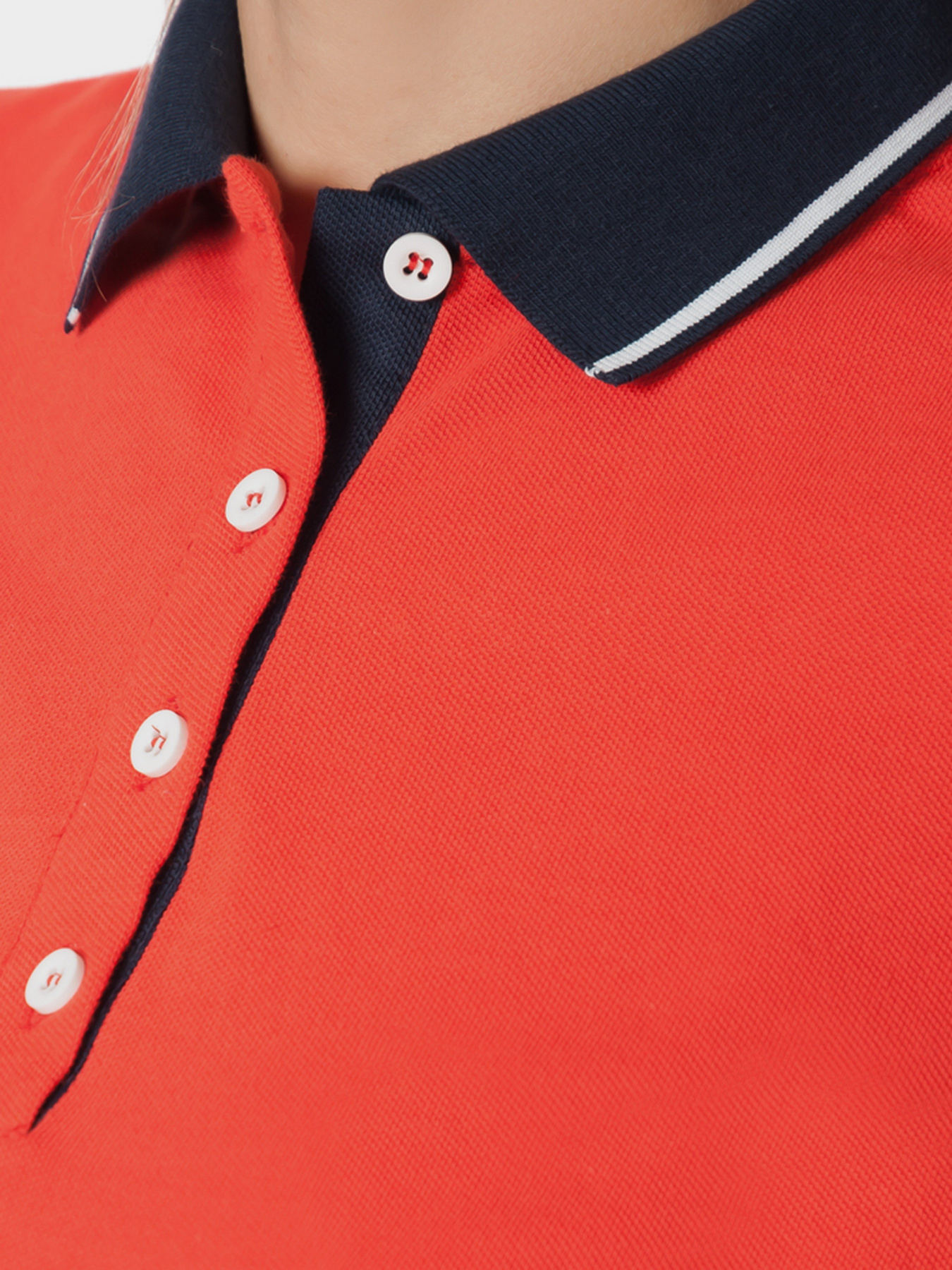 Поло Arber модель W14.06.05.210 Фото