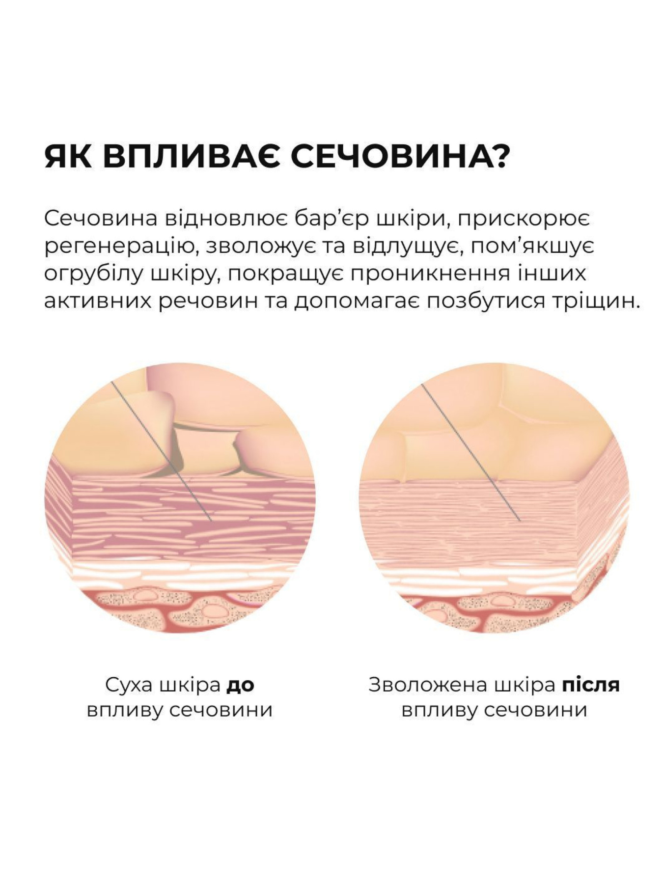 Набор для подготовки кожи и равномерного загара Hillary Skin Prep & Even Tan Set Hillary модель K-11-008 Фото