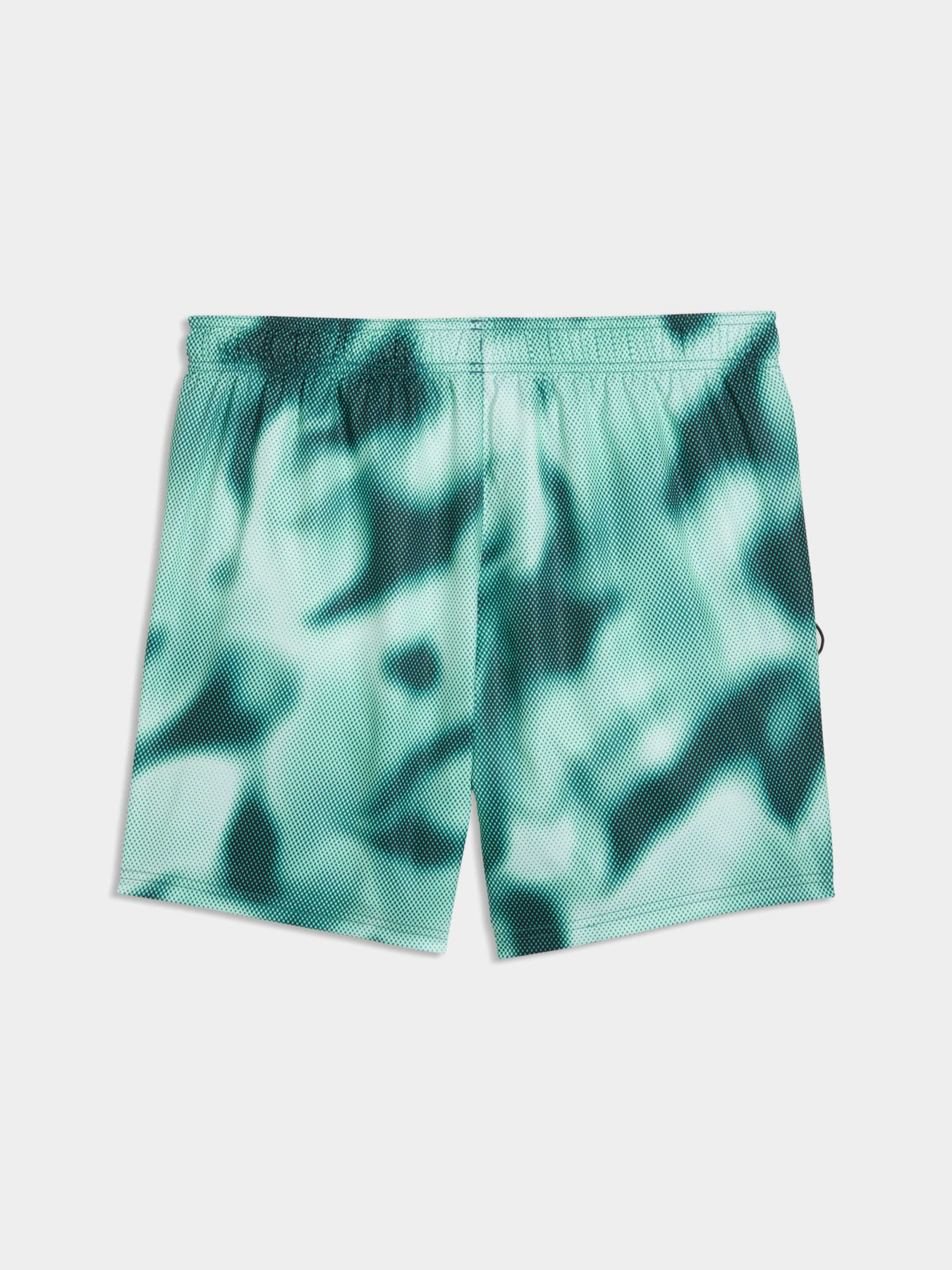 Одежда для пляжа PUMA Swim Men Printed Raster модель 947515 Фото
