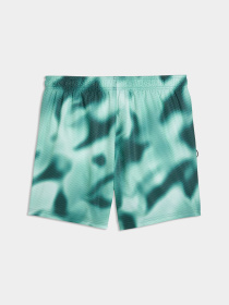 Одежда для пляжа PUMA Swim Men Printed Raster модель 947515 Фото