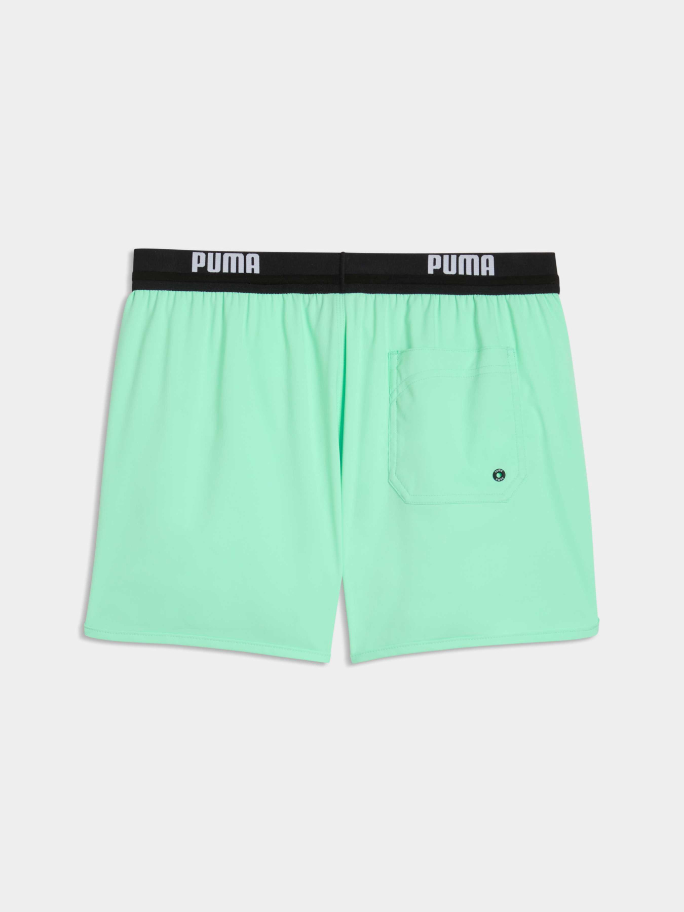 Одежда для пляжа PUMA Swim Men Track Short Sh модель 947513 Фото