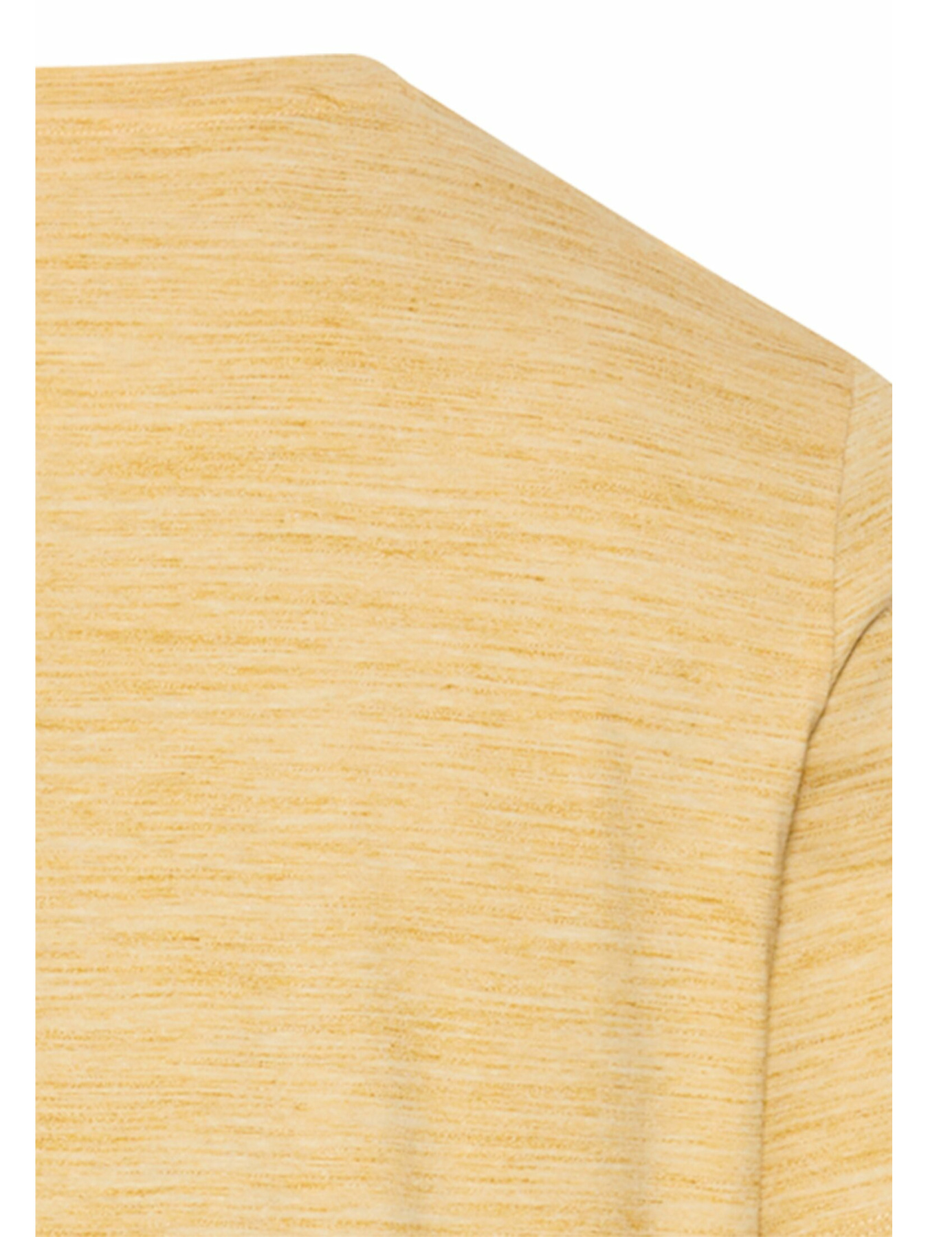 Футболки і поло Camel Active T-shirts 1/2 sleeves модель 409700-7T24-64 Фото