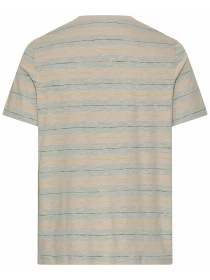 Футболки і поло Camel Active T-shirts 1/2 sleeves модель 409700-7T53-43 Фото