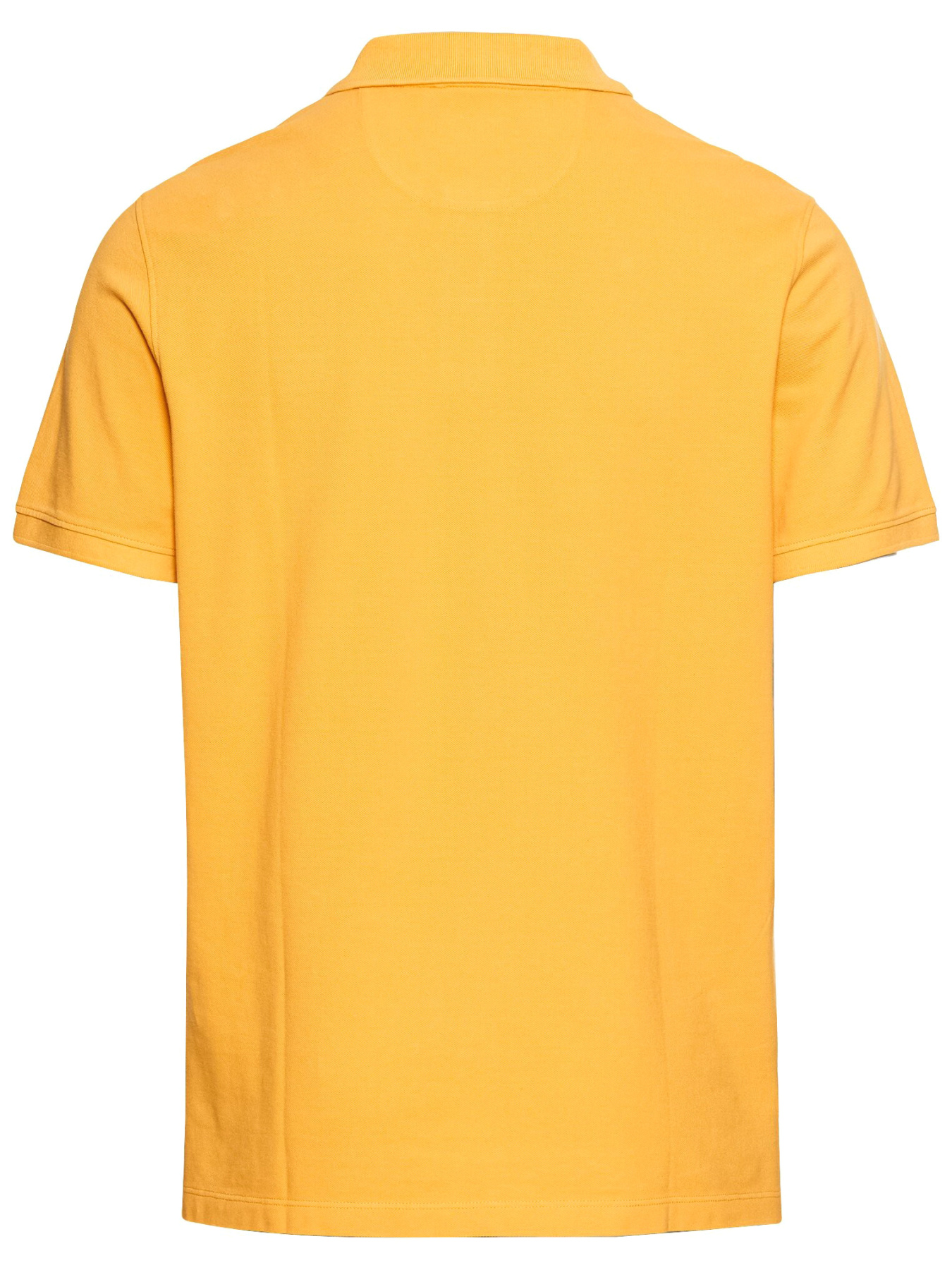 Футболки и поло Camel Active модель 409920-5P00-65 Футболки и поло Camel Active модель 409920-5P00-65 Фото
