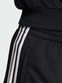 Шорты Adidas Adicolor модель KD4081 Фото