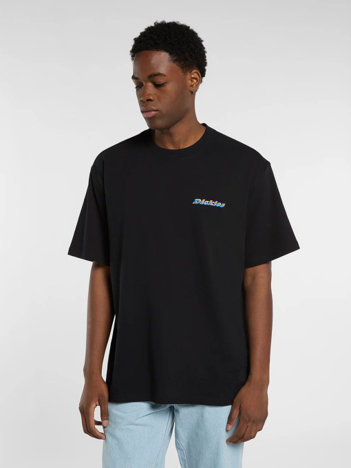 Футболки и поло Dickies модель DK0A8854BLK Фото