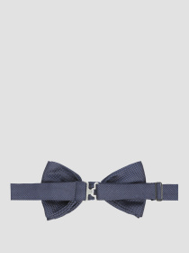 Галстуки и воротнички Karl Lagerfeld модель 582151.805200;690 Фото