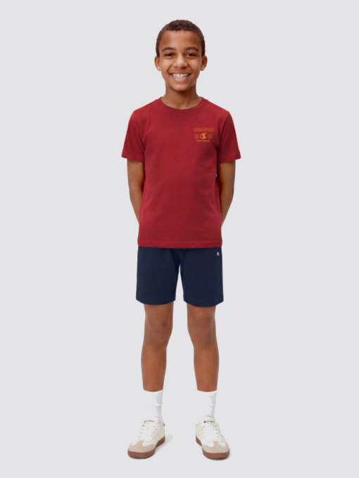 Костюмы Champion модель 307556-RS014 Фото