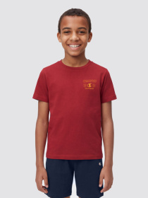Костюмы Champion модель 307556-RS014 Фото