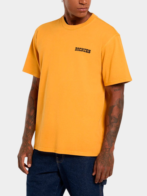 Футболки и поло Dickies модель DK0A88QQSOR1 Фото